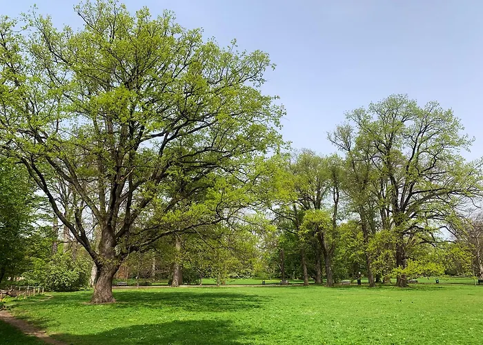 Stylowy Park Wawrzyniaka Apartment *